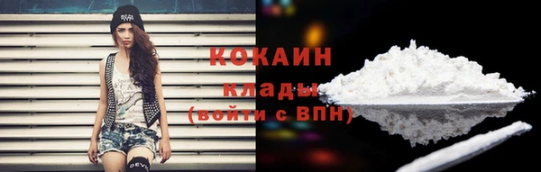 твердый Зерноград