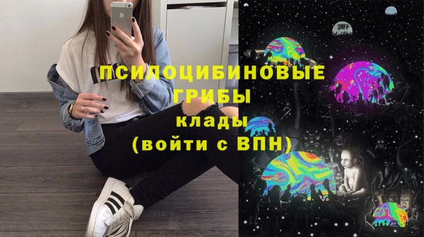 PSILOCYBIN Зеленокумск