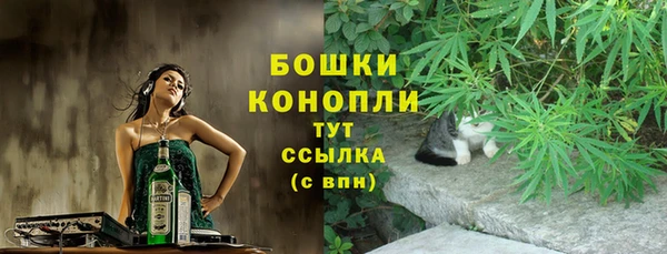 PSILOCYBIN Зеленокумск