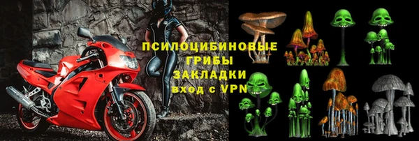 PSILOCYBIN Зеленокумск