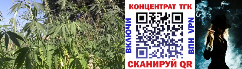 Купить закладки Далматово ТГК Wax